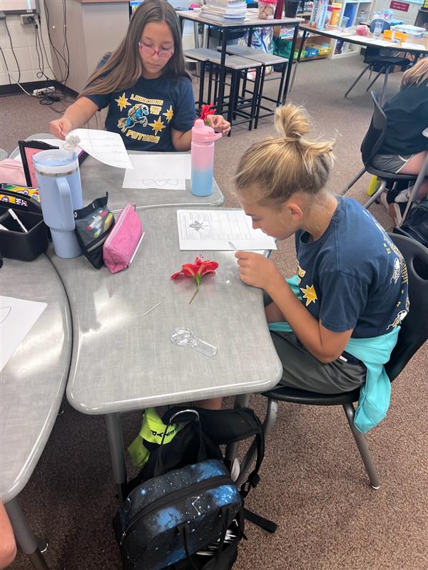 5th Grade Fower Dissection
